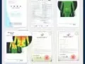 英国卫裤第八代官方正品磁疗保健内裤