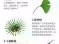 新加坡本地品牌，SupaSize
