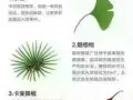 新加坡本地品牌，SupaSize
