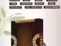 晨隽堂保健贴央视网优选品牌，一盒40中药成分膏药一