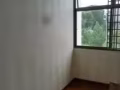 专业贴墙纸，铺地毯