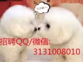 三号四号司机好单子 加招聘QQ3131008010查看更多司机好单