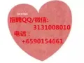 男女清洁工 年龄大的也可以 招聘QQ3131008010