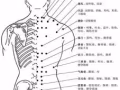 正宗中医推拿$50