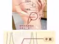 正宗中醫推拿$50