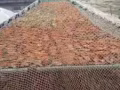 山东地瓜干，延边特色咸菜，火锅底料蘸料