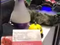 如果你一直没有碰到合适你的推拿师请来这里，千万不要错过这好地方