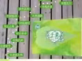 吉祥景莲千千酵素