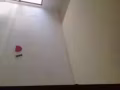 武吉知馬公寓女搭房出租房間很大
