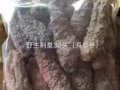  新西兰海鲜干货~尝鲜咯~健康生活欢迎您~