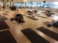 想學瑜伽和健身的 歡迎諮詢試課