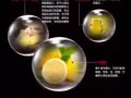 德國延時之王PJUR一瓶只懂男人的噴劑，陽痿早泄的剋星。操翻小姐必備
