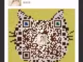 招收宝妈代理，轻松带你月入千元新币