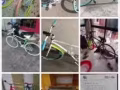 男女款自行车全岛服务最好送货到家