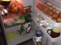 9成新冰箱