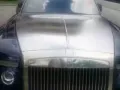 新加坡中介直招，费用低，效率快