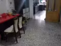 单间，床位，出租