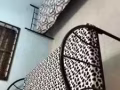 女皇镇靓房出租