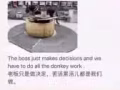 想要学习英文吗,可以与我联系