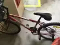 8成新脚踏车50元
