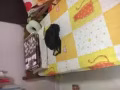 義順女搭房