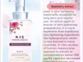微贝瓷