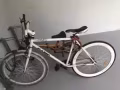 本人要回國  急急出售自行車。 高大上的自行車