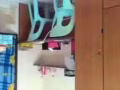 巴西立大牌231一女生搭房"好床[$230]3人间包空调水电网可小煮报[合法地址