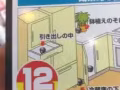 解决蟑螂蚂蚁问题 日本安速蟑螂小黑帽