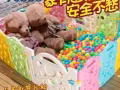 各種兒童玩具，開發智力 親子互動
