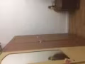黄铺巴刹87#有女床位出租离文庆地铁口近