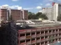 CHOA CHU KANG BLK 441 主人房便宜租