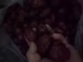新疆和田大枣