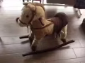 寶寶專用訪
