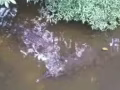 纹眉，美瞳线，美甲，美容