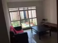 榜鹅新房现招女房客！