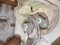 电动摇篮
