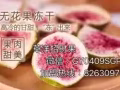 可代理、也可以批发零售