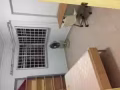 367 乌兰图书馆对面 （帮你搬家）(随时可以进 ）