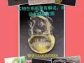 新加坡各种大牌首饰珠宝，支持见货付款