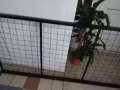 单人床