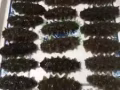 纯东北海参各种海鲜干类