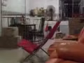 hdb 4 room flat for rent in Toa payoh