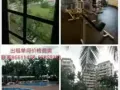  Orchid Park Condominium 胡姬园公寓 位于义顺普通房