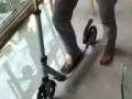 自行车已买