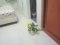 阿欲尼地铁附近有公寓房间出租