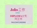 老板付学费的Diploma课程