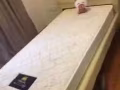super single bed 質量超好 價格可砍！！
