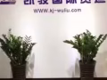 凯俊国际物流 服务 发淘宝，京东，天猫，苏宁易购空运海运到新加坡  有货找我