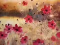 【专业】 疏通维修 水管方面问题